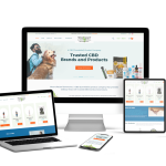 Website design e6media